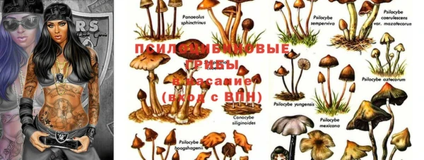 марки nbome Алексин