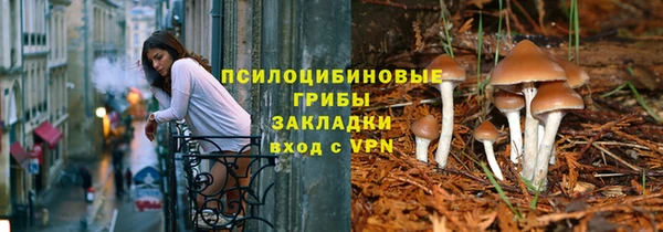 крисы Абдулино