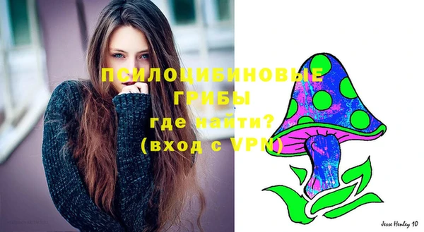 круглые Абаза