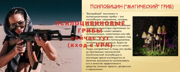 крисы Абдулино