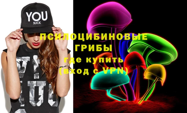 круглые Абаза