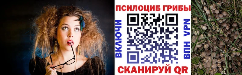 Псилоцибиновые грибы Magic Shrooms Партизанск