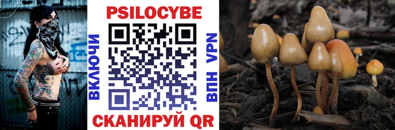 Псилоцибиновые грибы Psilocybine cubensis  наркотики  Партизанск 